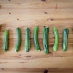 zucchini 3
