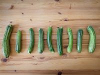 zucchini 3