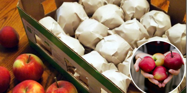 depozitarea merelor peste iarna