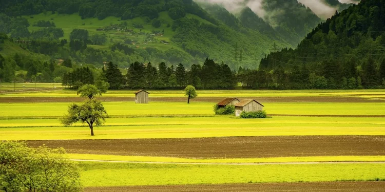 idei de afaceri la tara