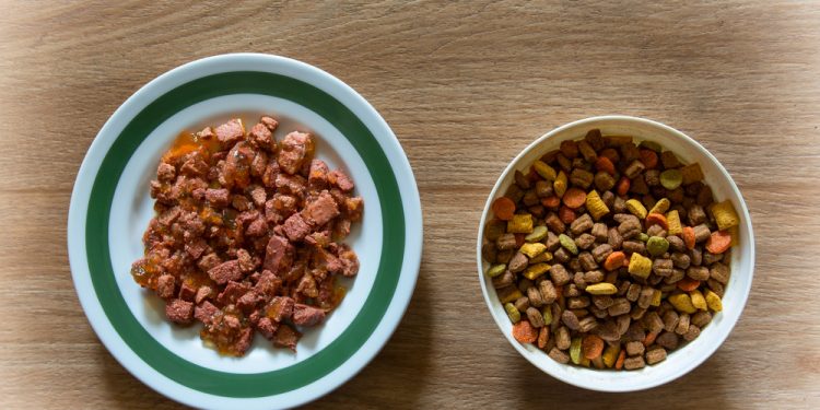 hrana pentru caini