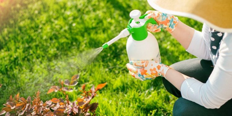 erbicid total si erbicid selectiv