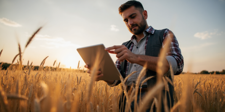Agricultura de precizie în România: tehnologii moderne pentru randamente crescute