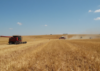 Top 10 sfaturi utile pentru agricultura: Ghid practic pentru începători în afaceri agricole