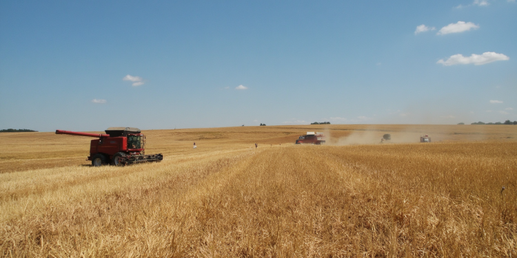 Top 10 sfaturi utile pentru agricultura: Ghid practic pentru începători în afaceri agricole