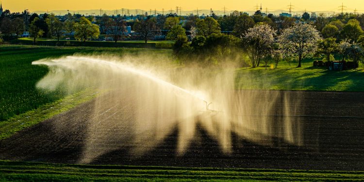 furtunplatpvcrefulareirigareabsorbtie